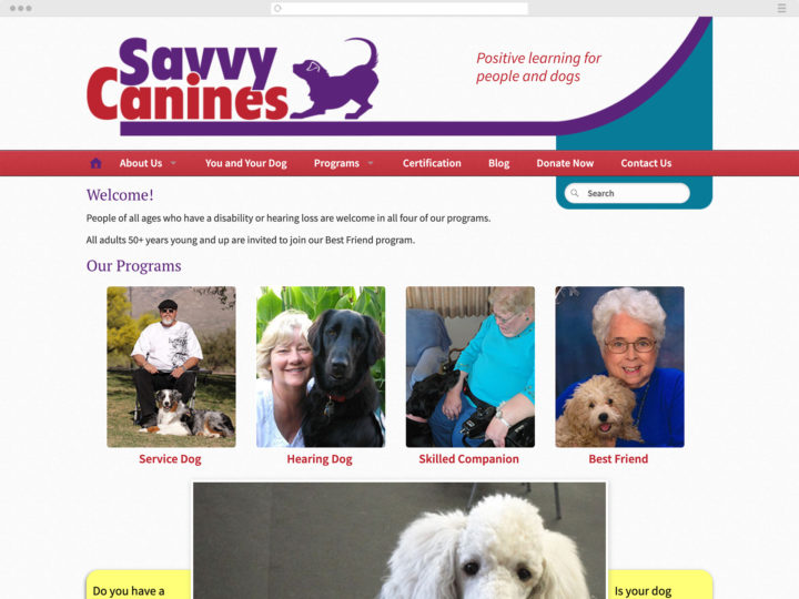Savvy Canines website
